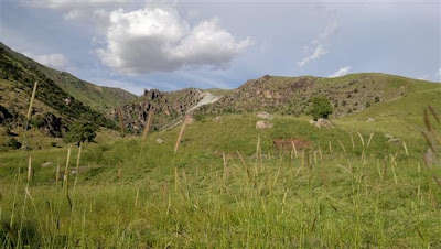 Mountain Scene 