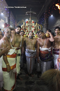 Sri TheliyaSingar , Sri Gajendra Varadhar, Samrokshanam, 2016, Video, Divya Prabhandam,Sri Parthasarathy Perumal, Triplicane,Thiruvallikeni,Utsavam,