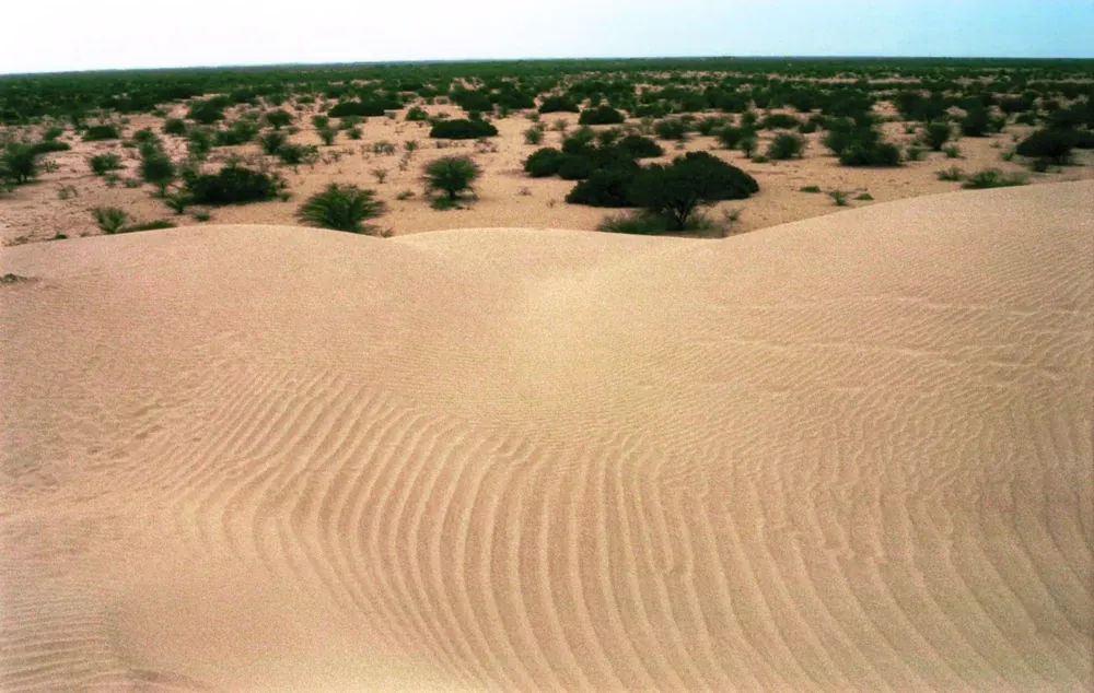 Sechura Desert