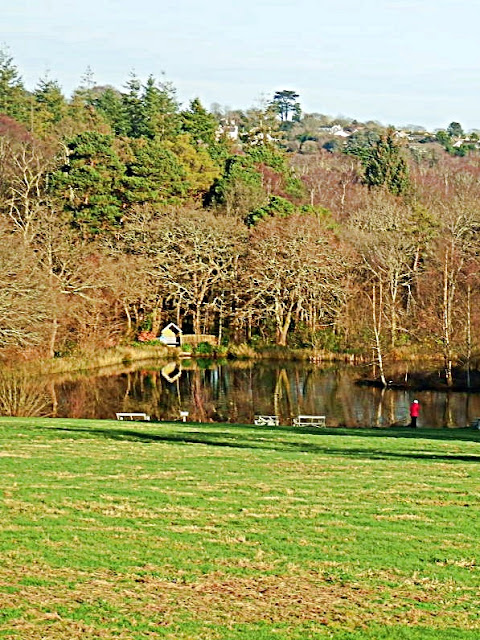 Pinetum Gardens lake