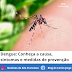 Dengue: Conheça a causa, sintomas e medidas de prevenção
