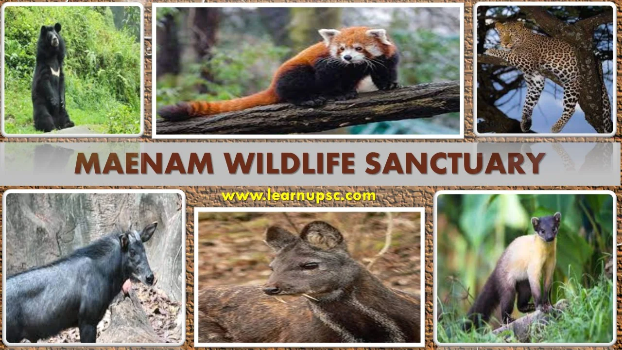Maenam Wildlife Sanctuary