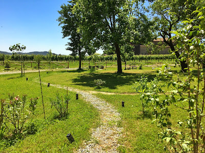 corsii estivi diceramica a bergamo primavera estate 2021