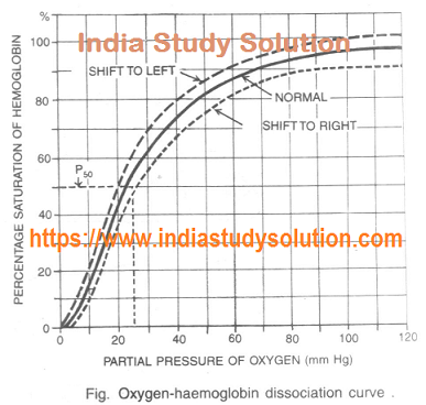 https://www.indiastudysolution.com - Breathing and Respiration, Exchange of Gases images