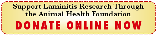 http://www.AHF-laminitis.org