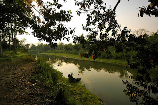 Kaziranga National Park