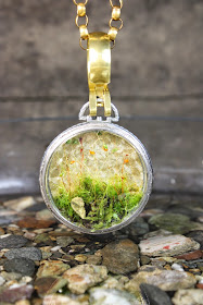 terrarium-saat-dekor-botanik