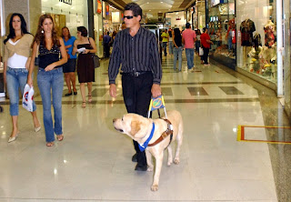 Persona con ceguera guiado por perro guía