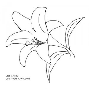 Flower Coloring Sheets on Easter Coloring Pages  Easter Lily Coloring Pages