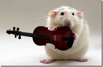 Holding-violin_1448662i