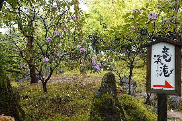 島根県松江市八束町波入 由志園