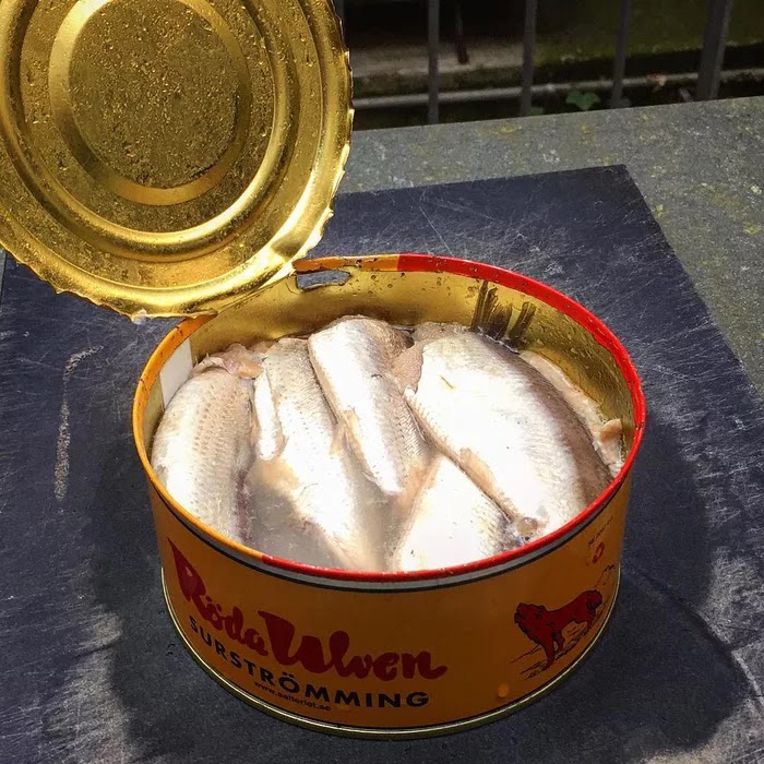 21 Extraordinary Pictures Of National Foods That Seem Uncanny To The Rest Of The World - Surströmming, Sweden