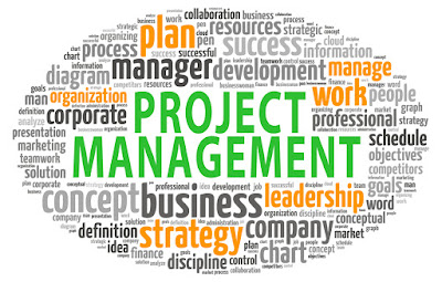 project management dissertation topics