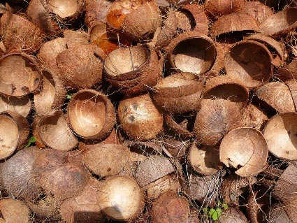 Produksi Arang Tempurung Kelapa dan Cangkang Sawit Secara 