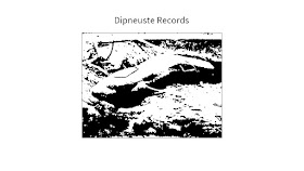 Anthurus d'Archer - Dipneuste records