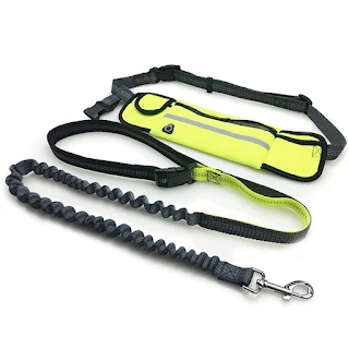 Handsfree Bungee Dog Leash