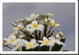 27042011_40