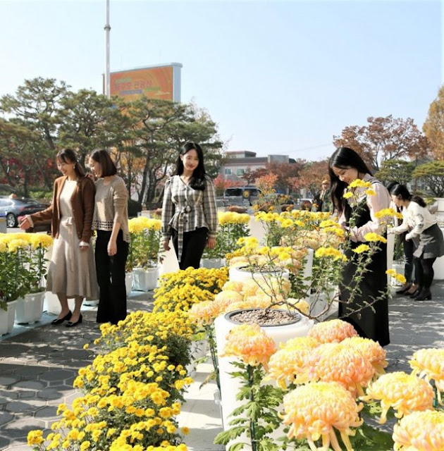 di sebuah taman di Chungju