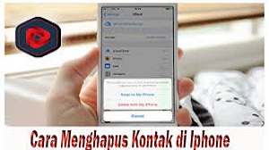  Anda adalah salah satu dari pengguna iPhone Cara Menghapus Kontak di iPhone Terbaru