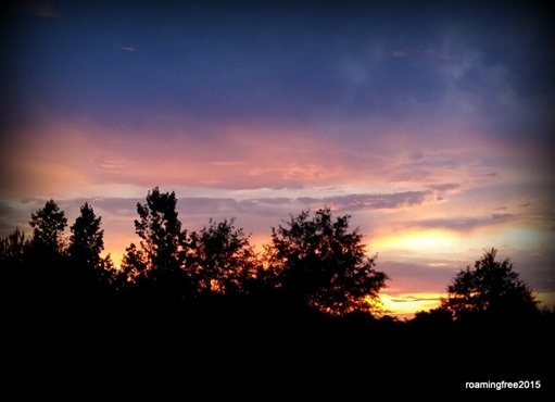 Sunset