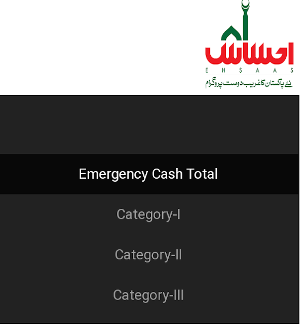 How to check status Ehsaas Emergency program 