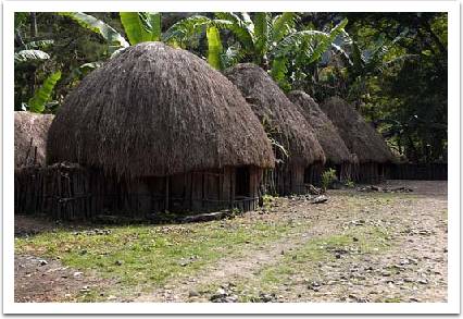 Rumah Adat Tradisional: Provinsi Irian Jaya / Papua