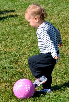 DSC_0804 DSC_0804