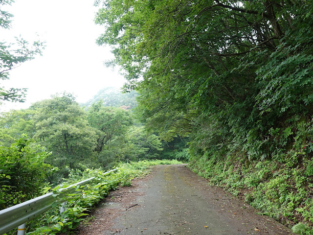 香取の大休峠に向かう山道を降ります