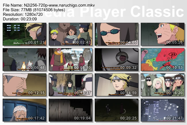 NARUTO SHIPPUDEN EPISODE 256 SUBTITLE BAHASA INDONESIA