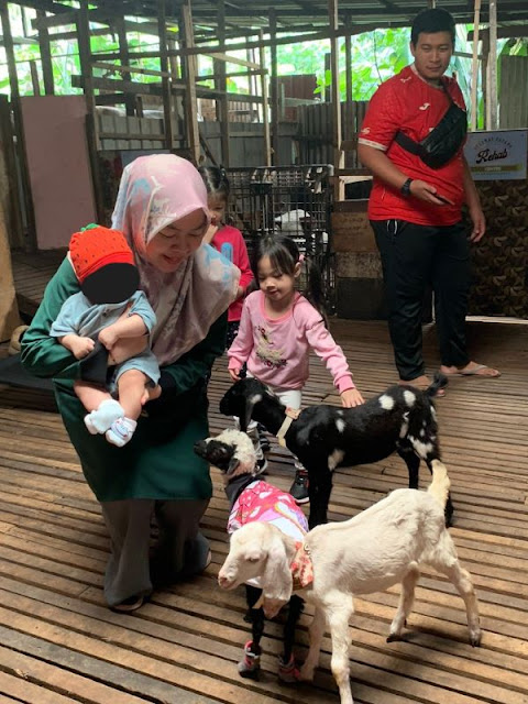 Lawatan ke Kandang Kambing Yang Aneh, Gombak