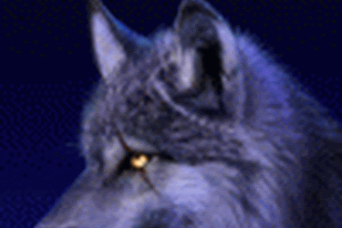 Avatarok/Ikonbázis