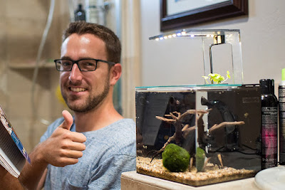EcoQubeC Aquarium, Desktop Betta Fish Tank For Living Office And Home Decoration