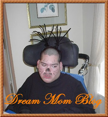 Dream Mom: Happy Halloween~Bed Bug Costume for a Wheelchair Tutorial