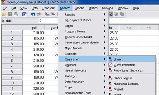 Contoh Soal Regresi Berganda Dummy (Satu Kriteria 