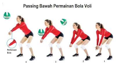  Tahukah kamu cara melakukan passing bawah dalam permainan  Cara Melakukan Passing Bawah Dalam Permainan Bola Voli