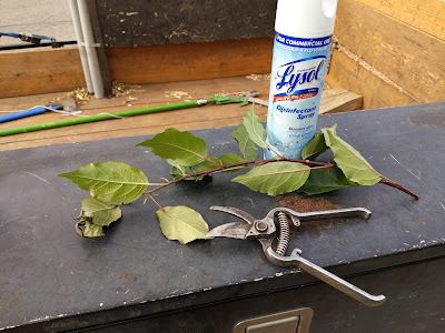 Disinfect Pruning Tools Between Cuts