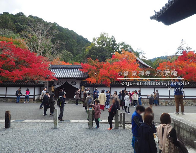 京都 南禅寺･天授庵の塀からこぼれる紅葉