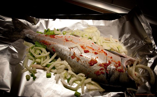 lachs_in_alufolie