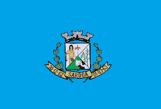 Bandeira de Sardoá MG