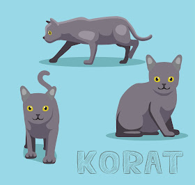 Korat illustration by bullet_chained, via Adobe Stock