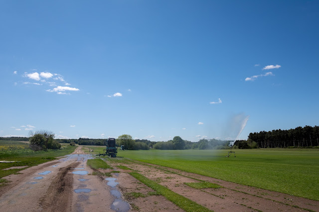 Turf fields - Laughton Woods