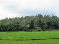 tana toraja sulawesi indonesia