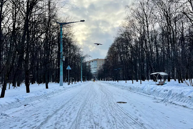 парк Сокольники, Митьковский проезд