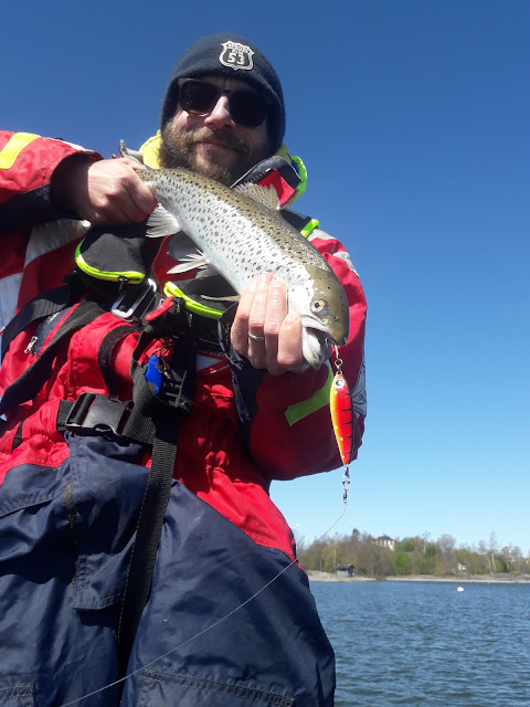 Salmo trutta