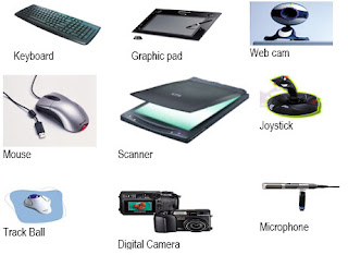 Input-Device, Keyboard, mouse, Digital-Camera, Microphone, Joystick Track Ball