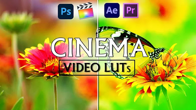 Bangset Cinema Pack 23 Video Luts X38DX4J