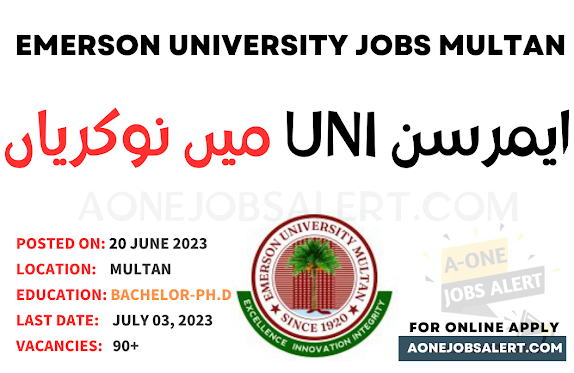 Jobs Advertisement In Emerson University Multan