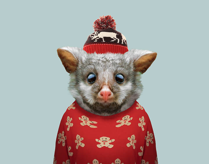 36 Adorable Portraits Of Baby Animals Dressed Like Humans