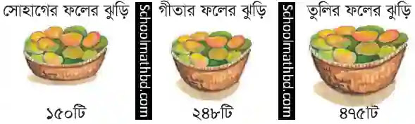 ফলের ঝুড়িতে কতটি ফল আছে