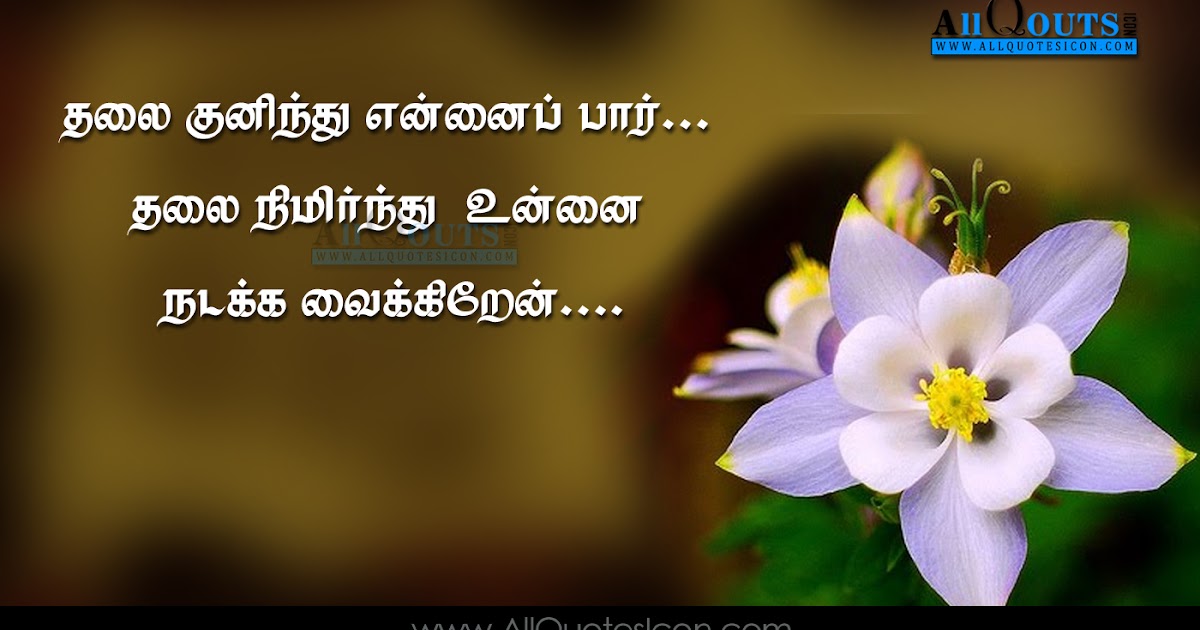 Image Result For Quotations Kannada